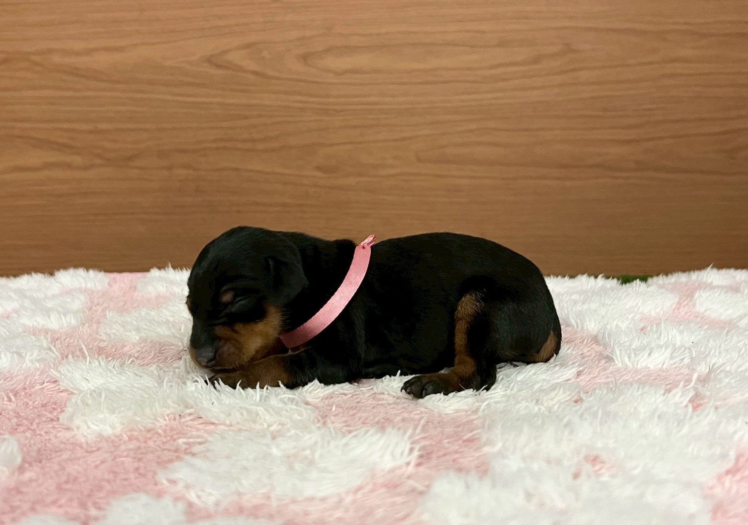 赤ちゃん写真1-2