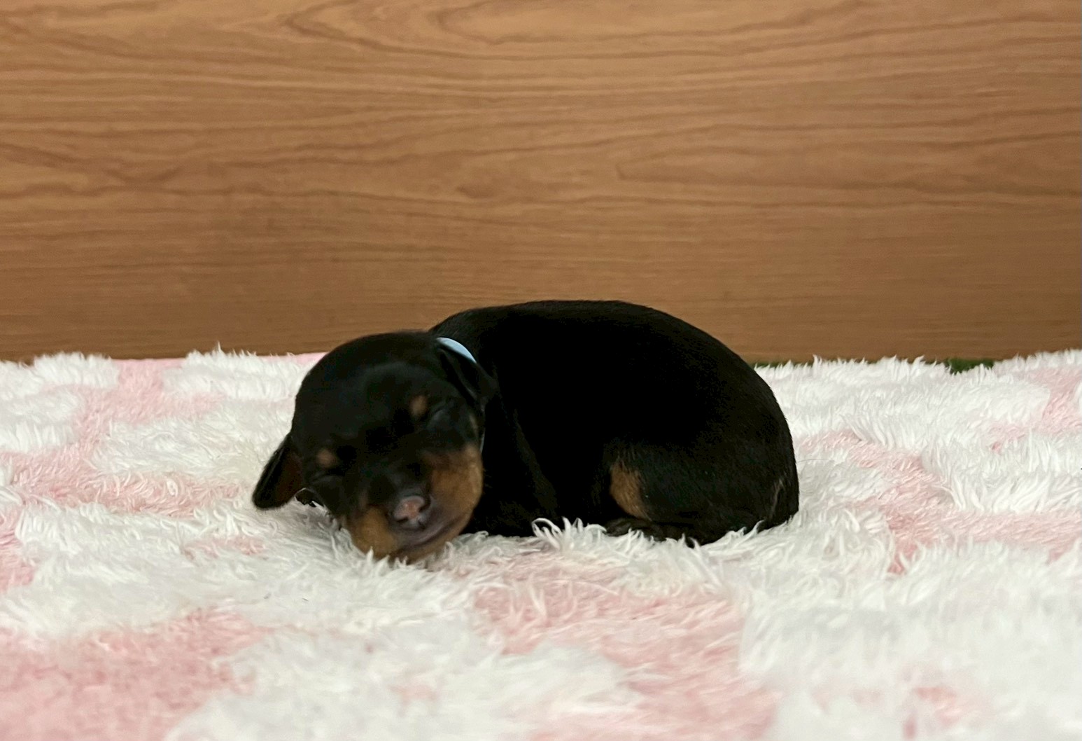 赤ちゃん写真1-2