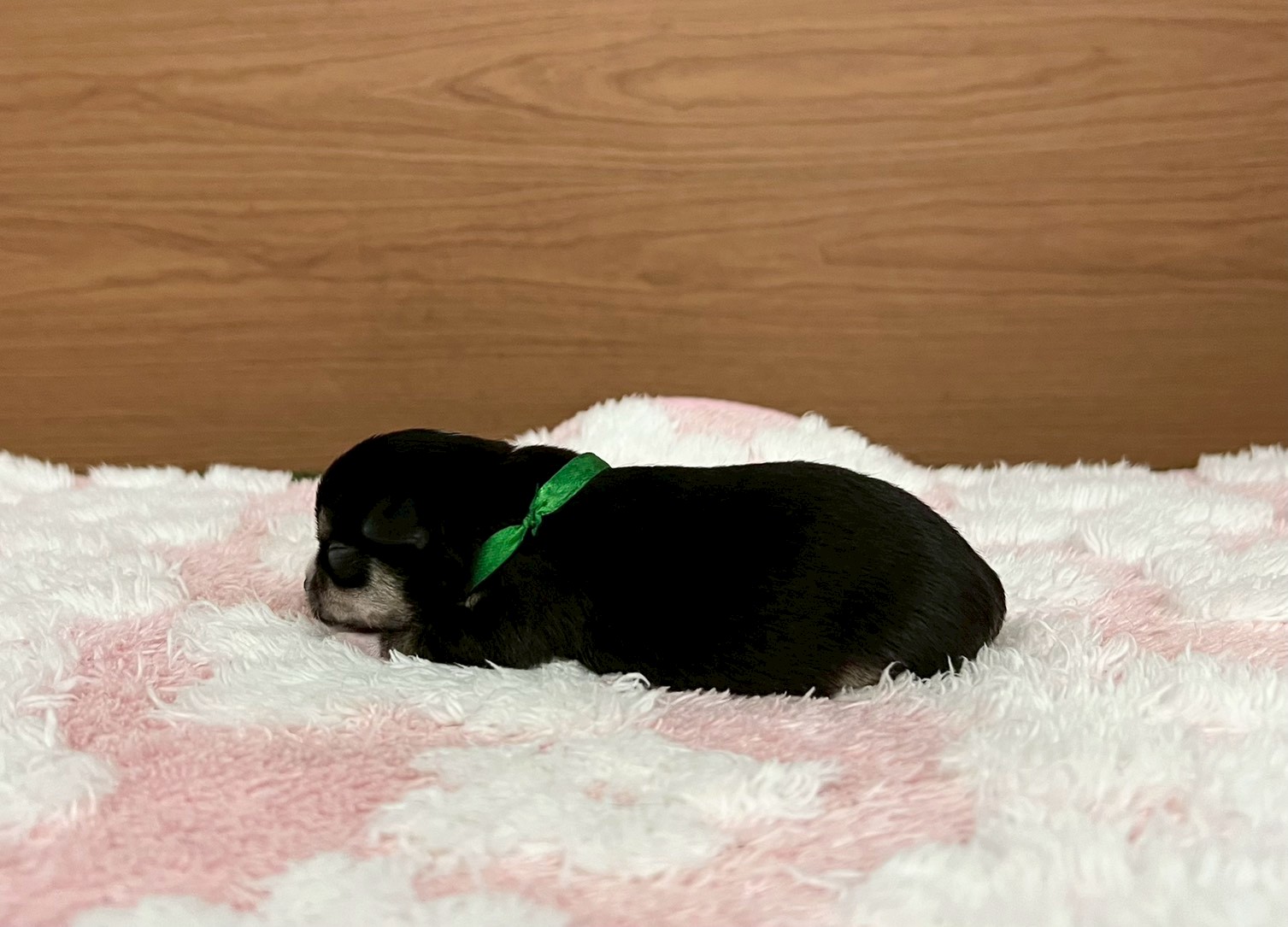 赤ちゃん写真1-2