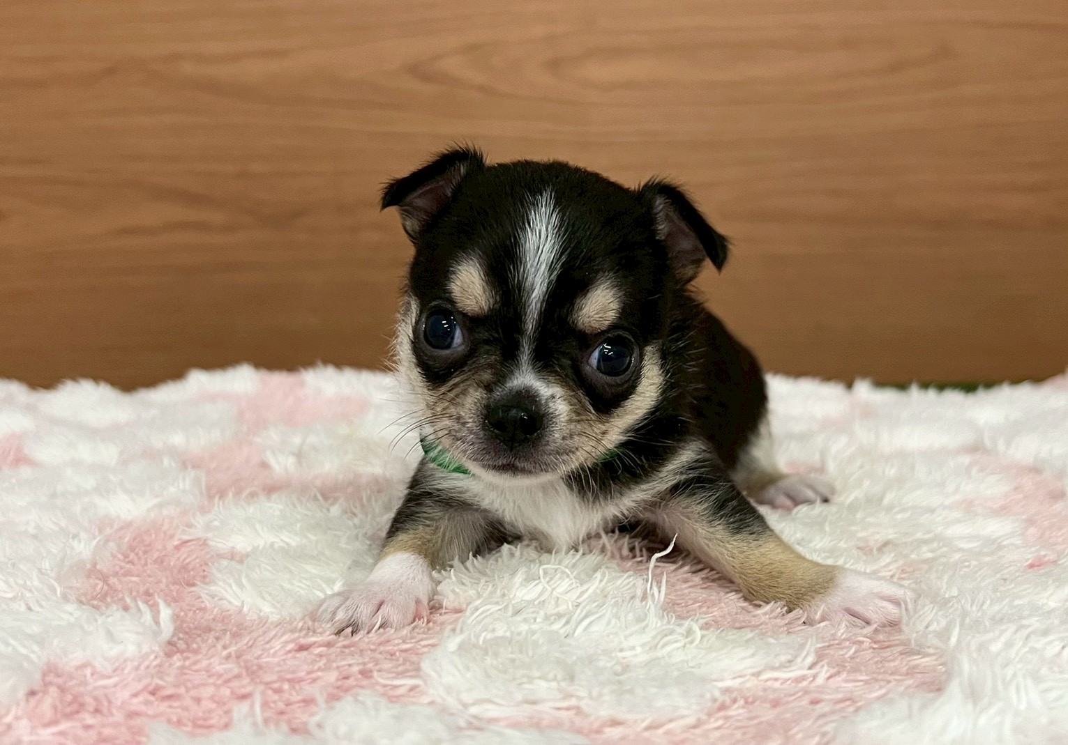 赤ちゃん写真2-1