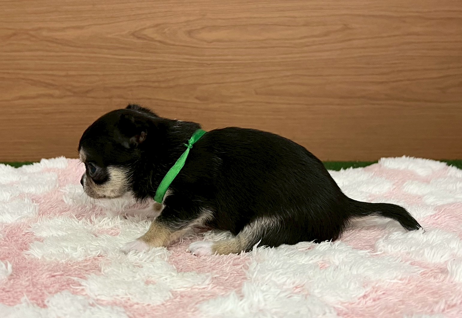 赤ちゃん写真2-2