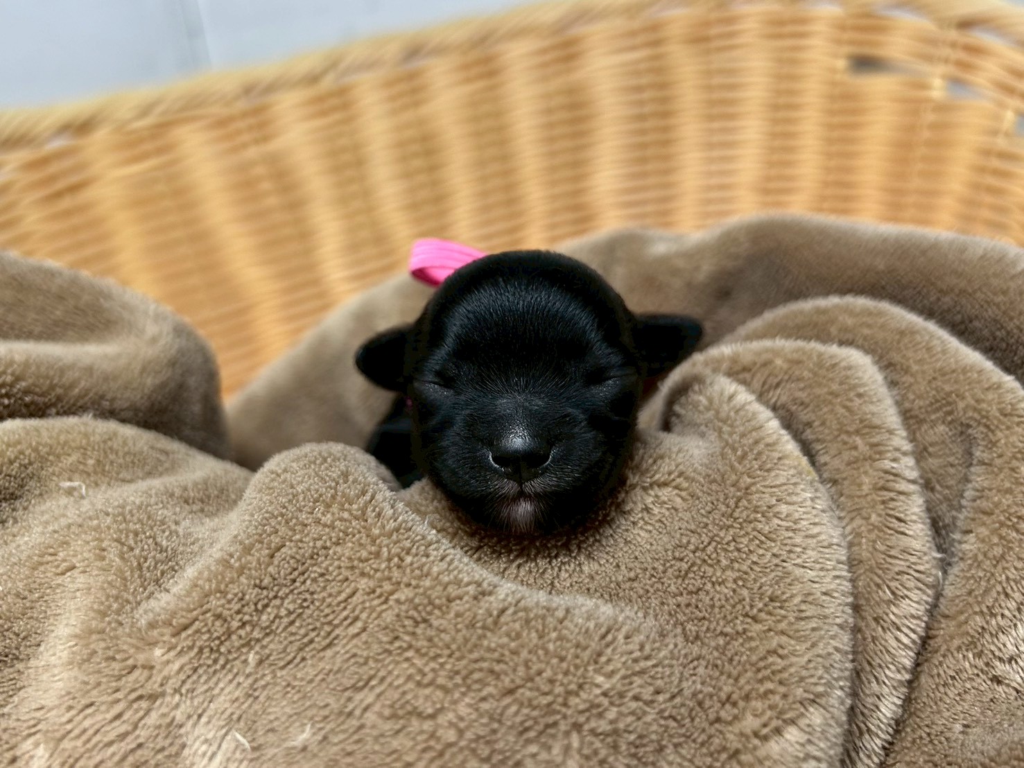 赤ちゃん写真1-1
