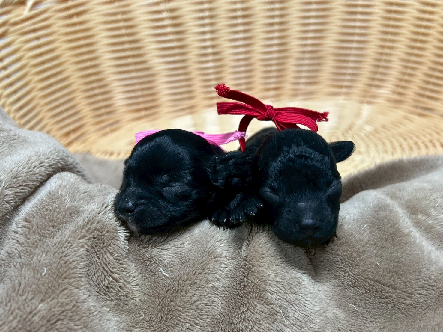 赤ちゃん写真1-3