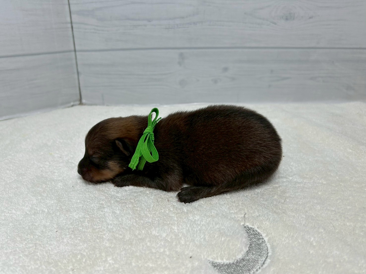 赤ちゃん写真1-2