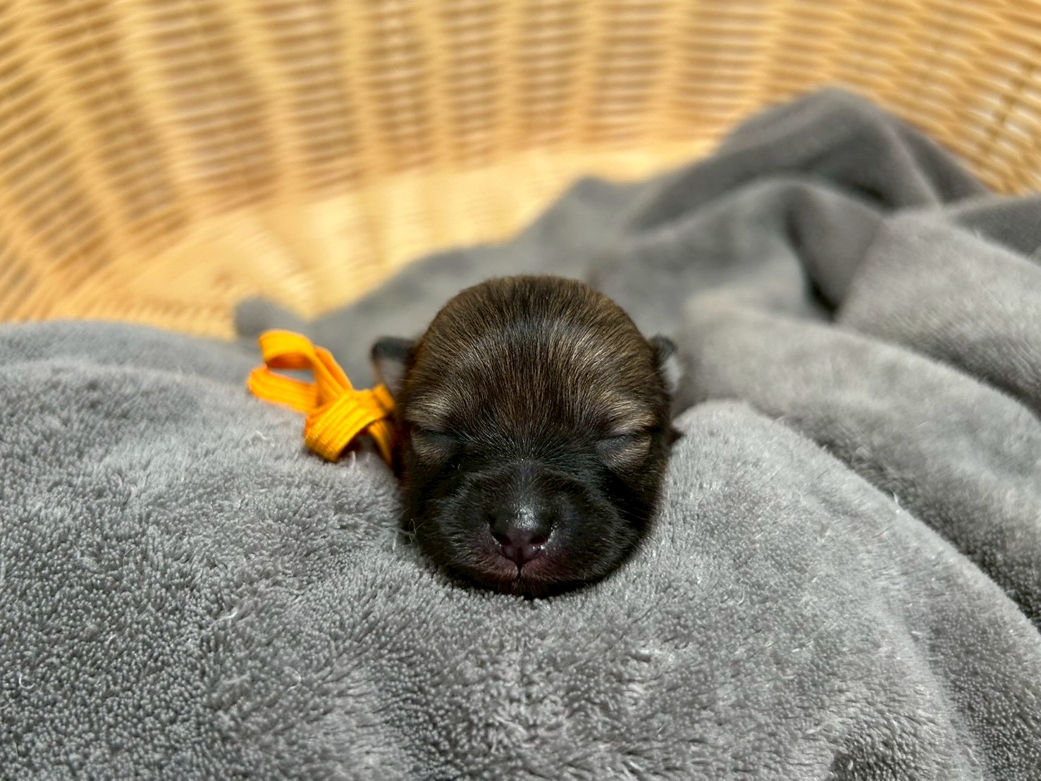 赤ちゃん写真1-1