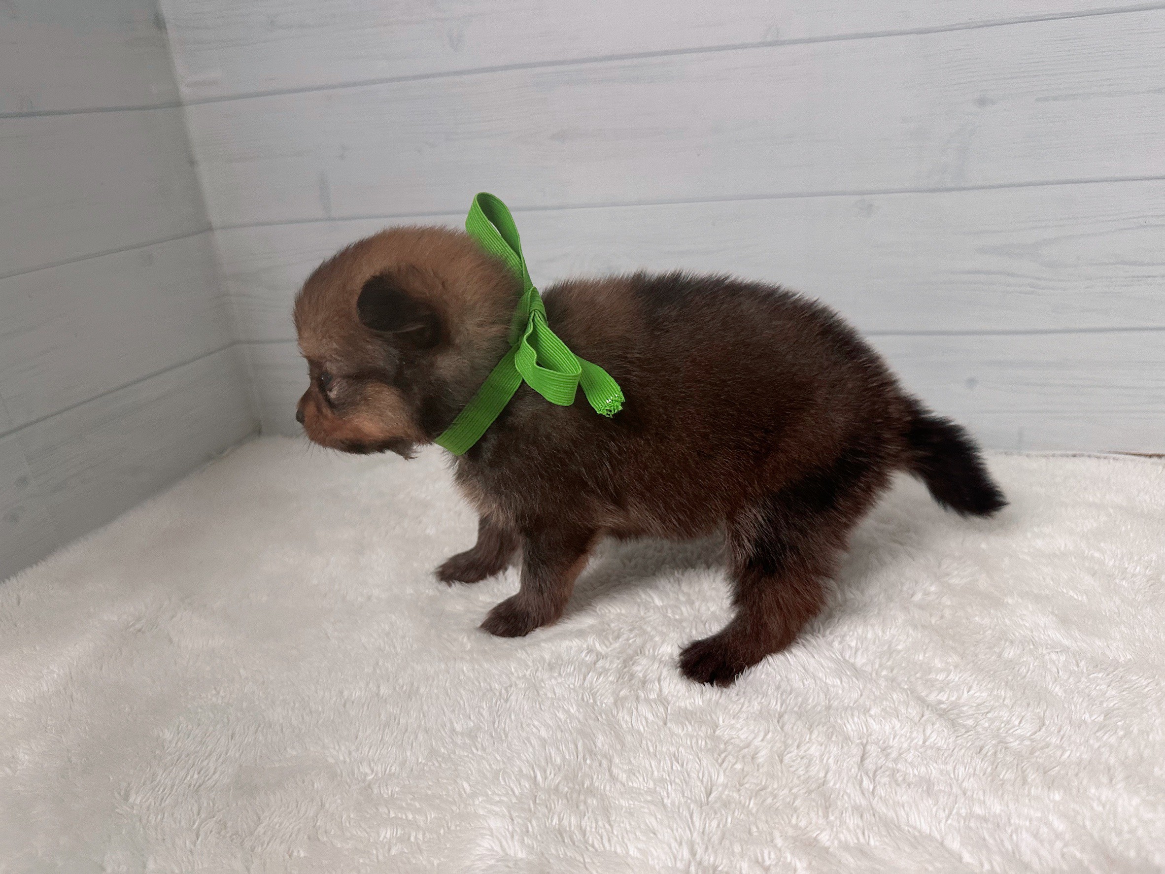 赤ちゃん写真2-2