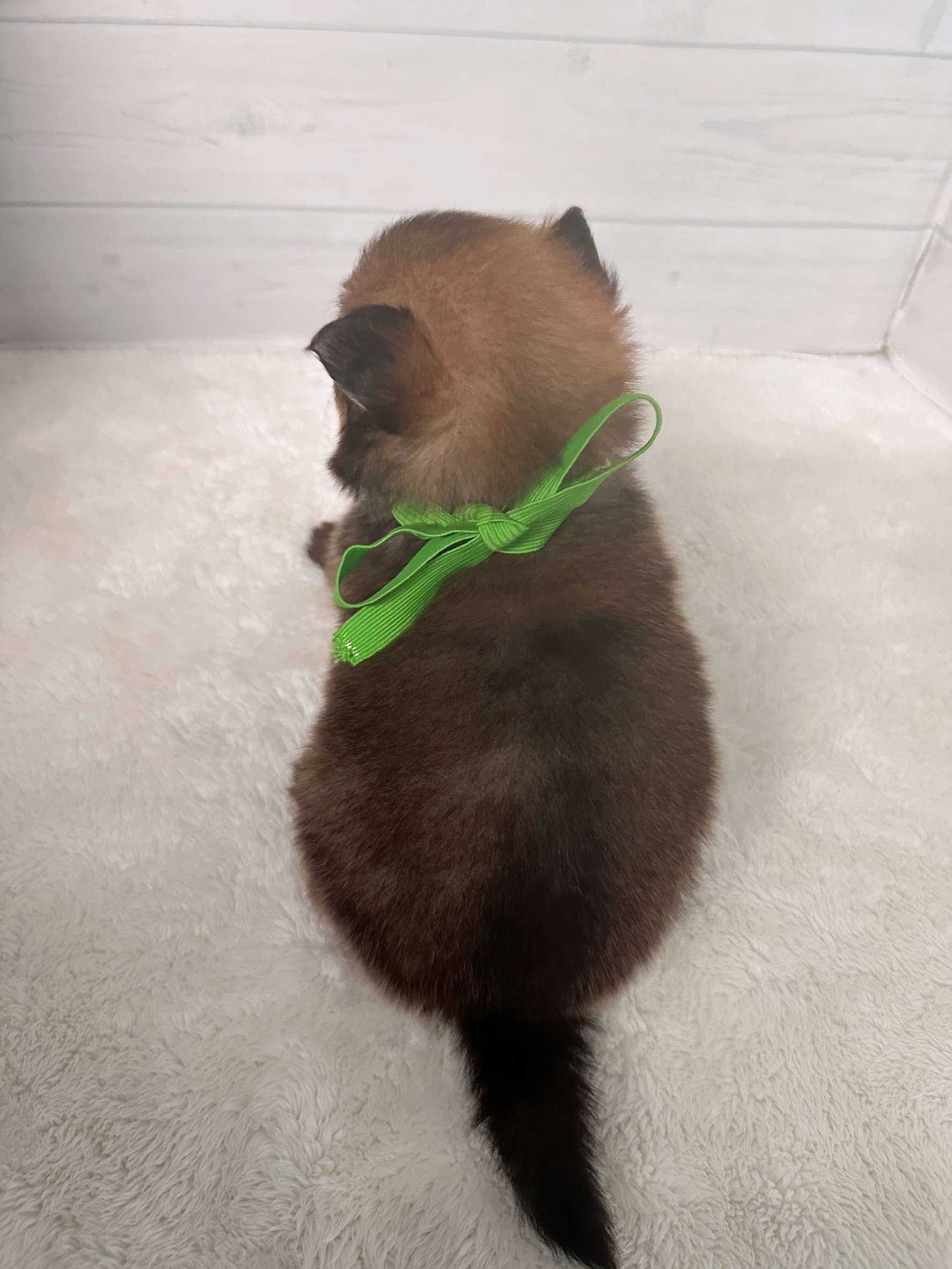赤ちゃん写真2-3