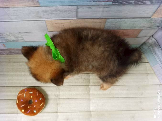 赤ちゃん写真3-3