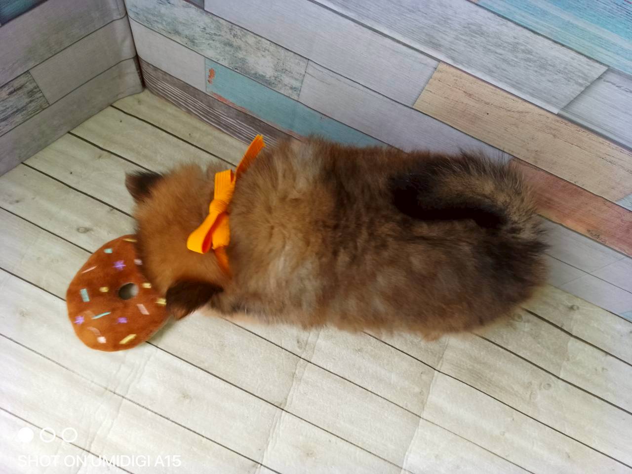 赤ちゃん写真3-3