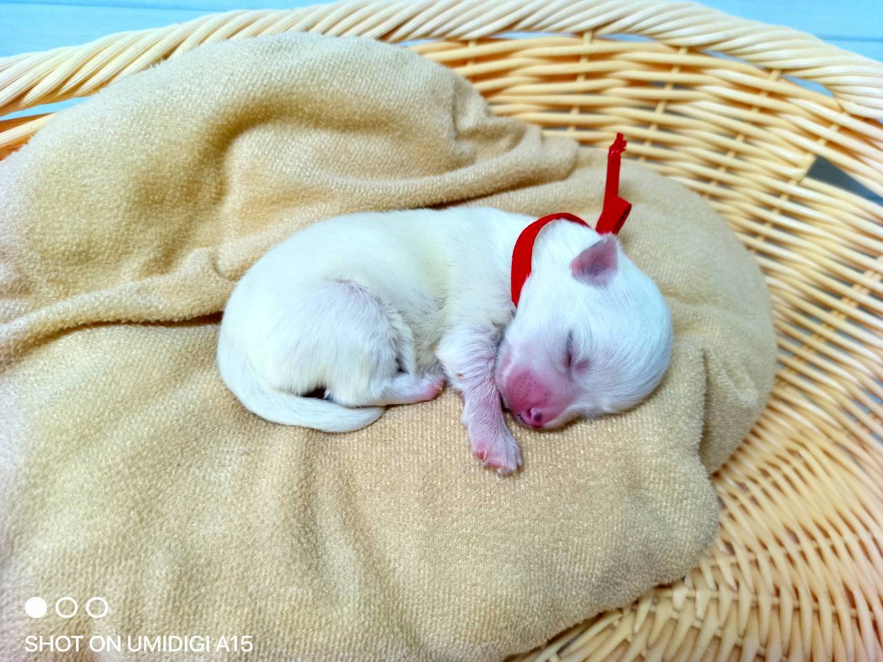 赤ちゃん写真1-2
