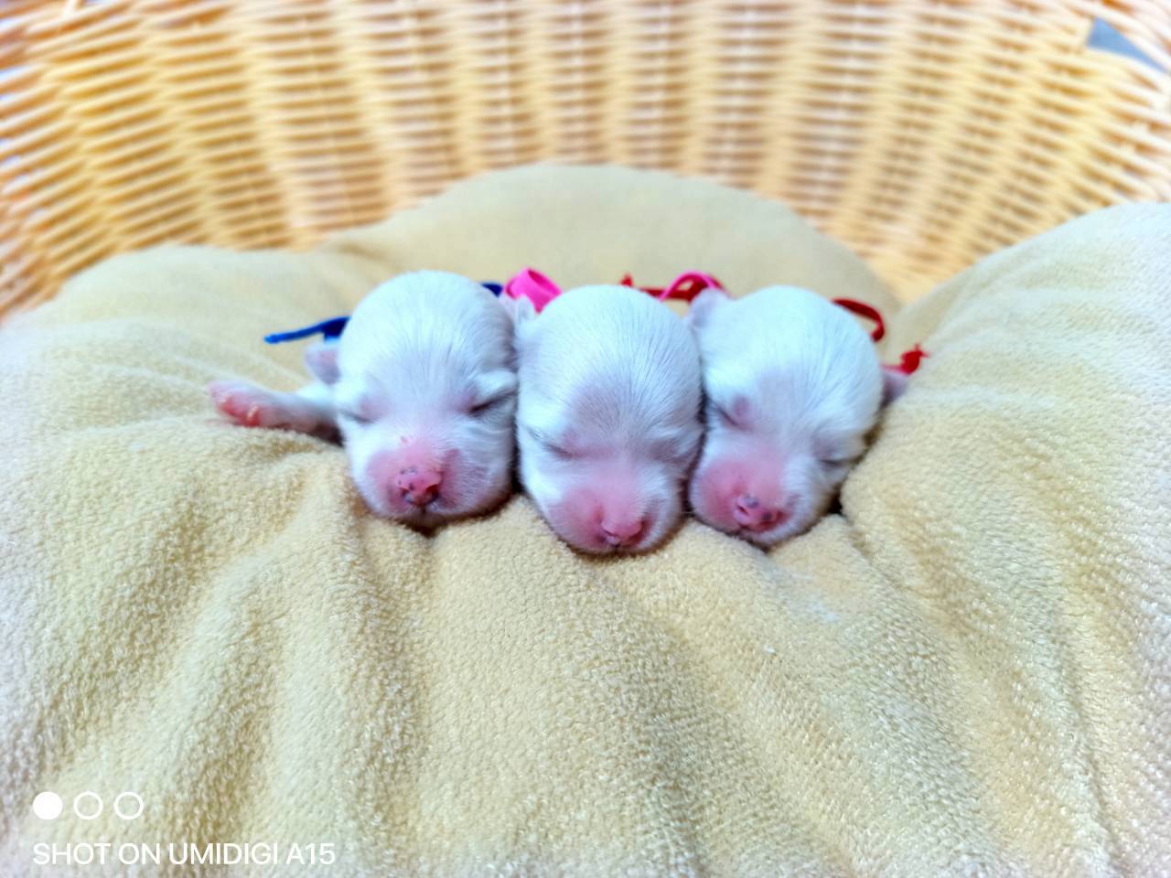 赤ちゃん写真1-3