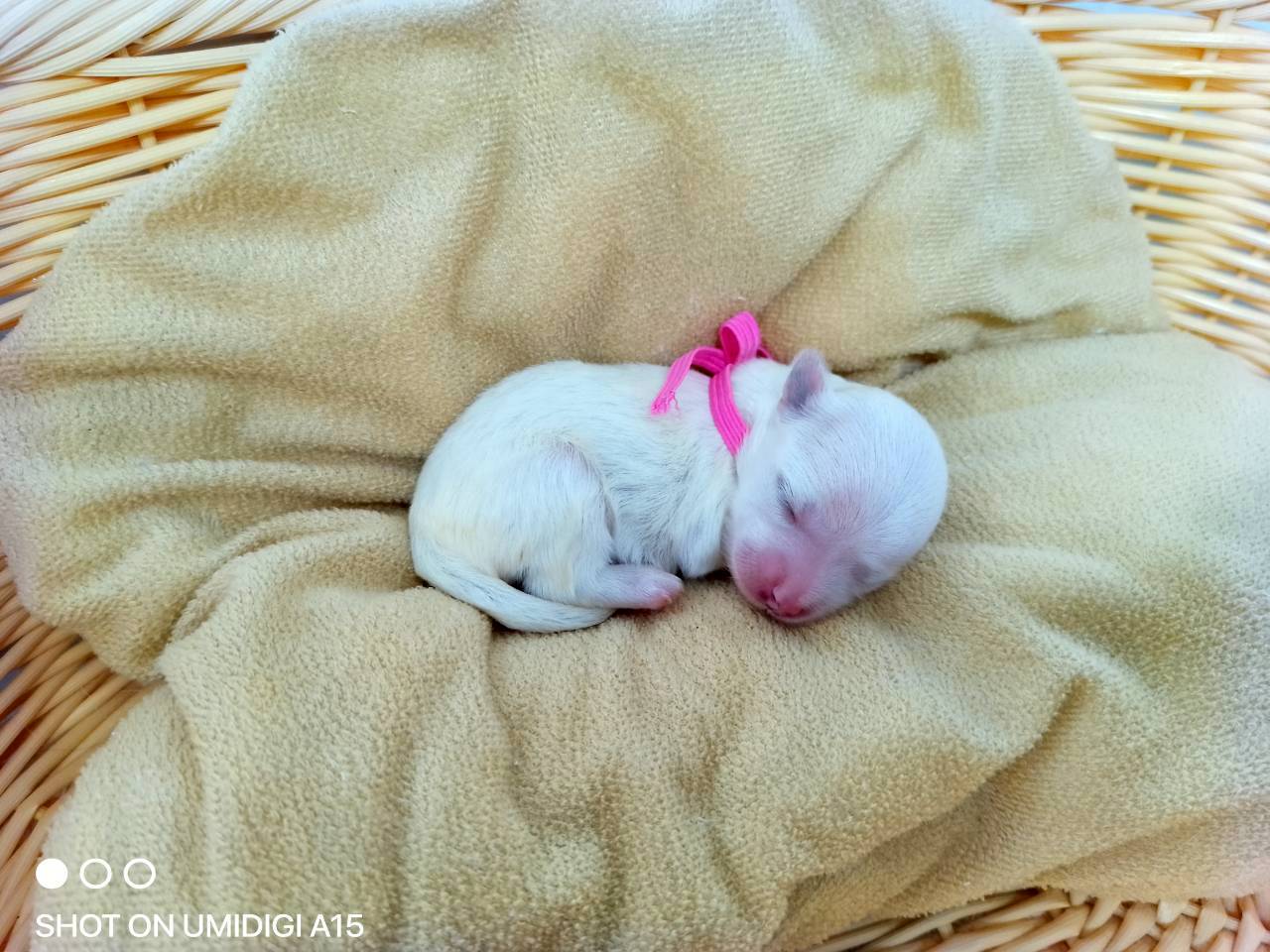 赤ちゃん写真1-2