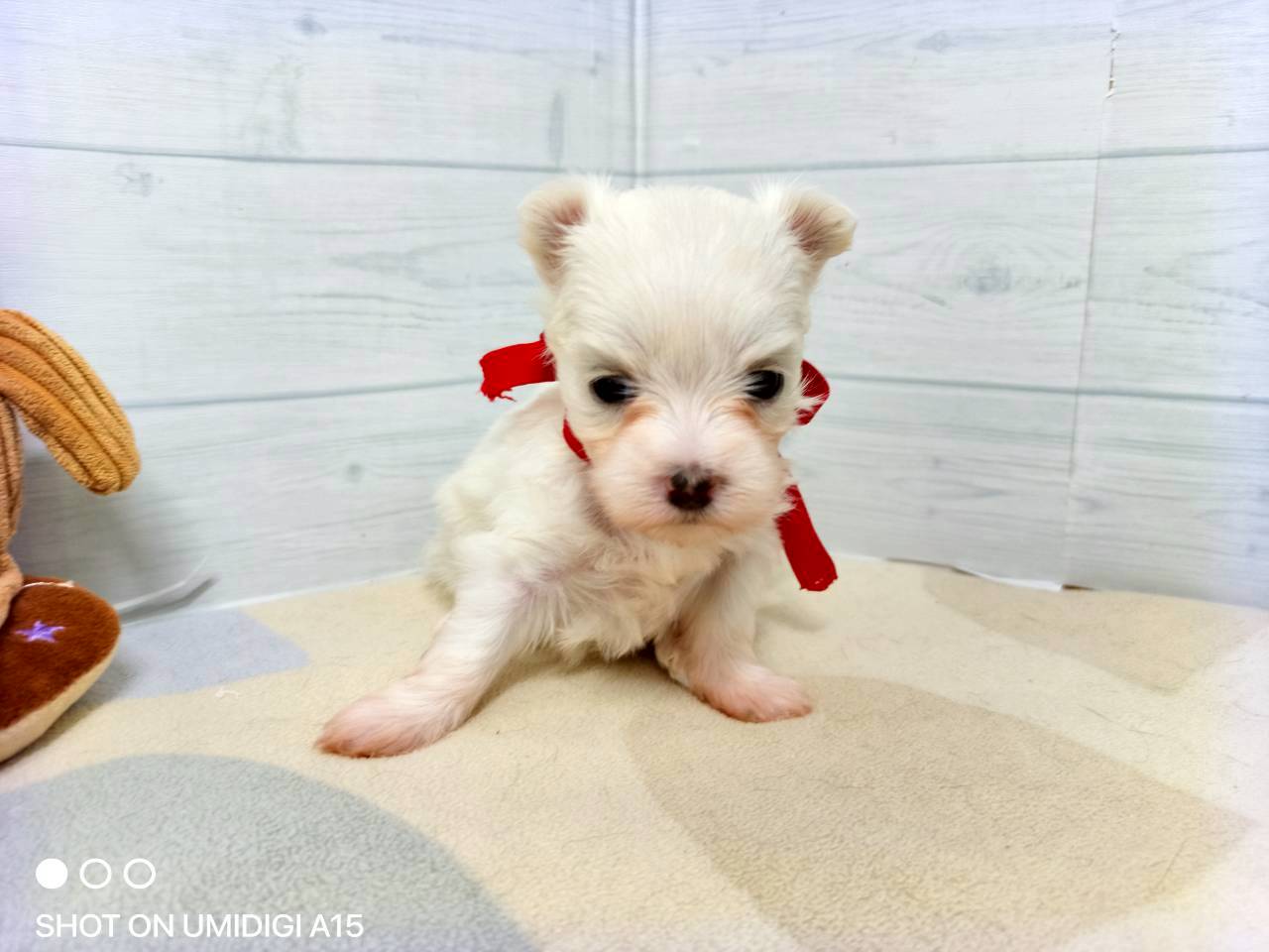 赤ちゃん写真2-1