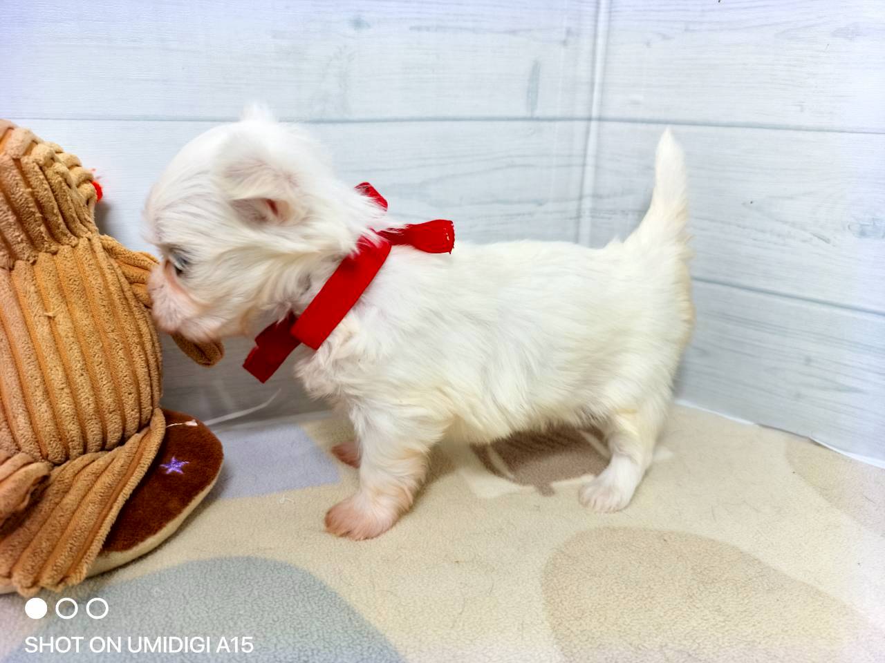 赤ちゃん写真2-2