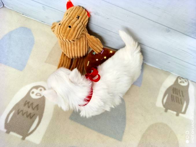 赤ちゃん写真2-3