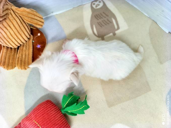 赤ちゃん写真2-3