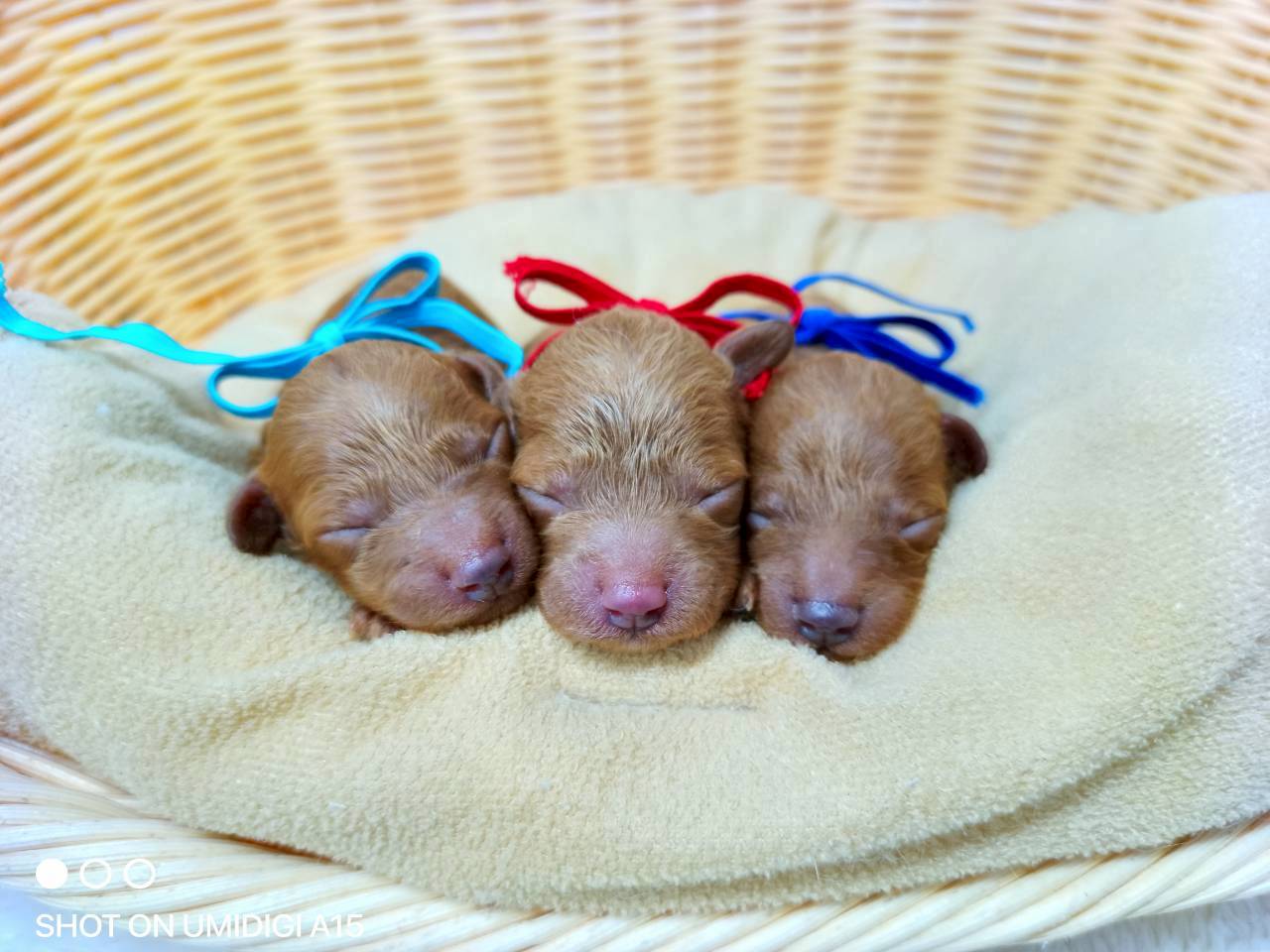赤ちゃん写真1-3