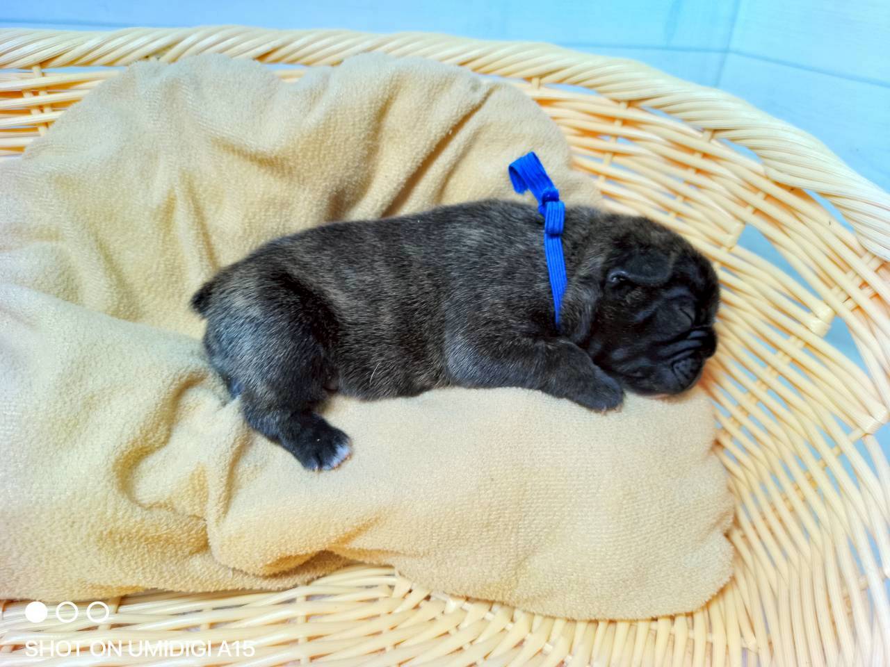 赤ちゃん写真1-2