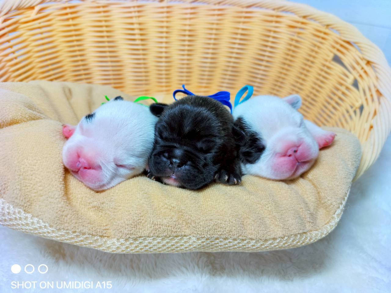 赤ちゃん写真1-3