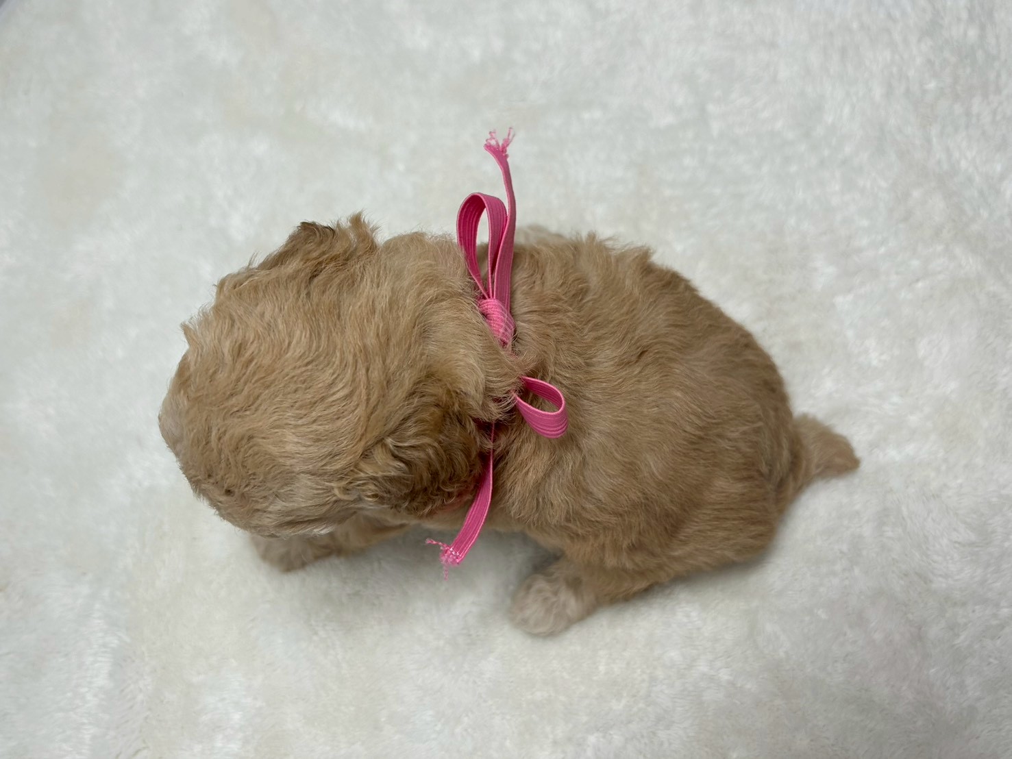 赤ちゃん写真2-3