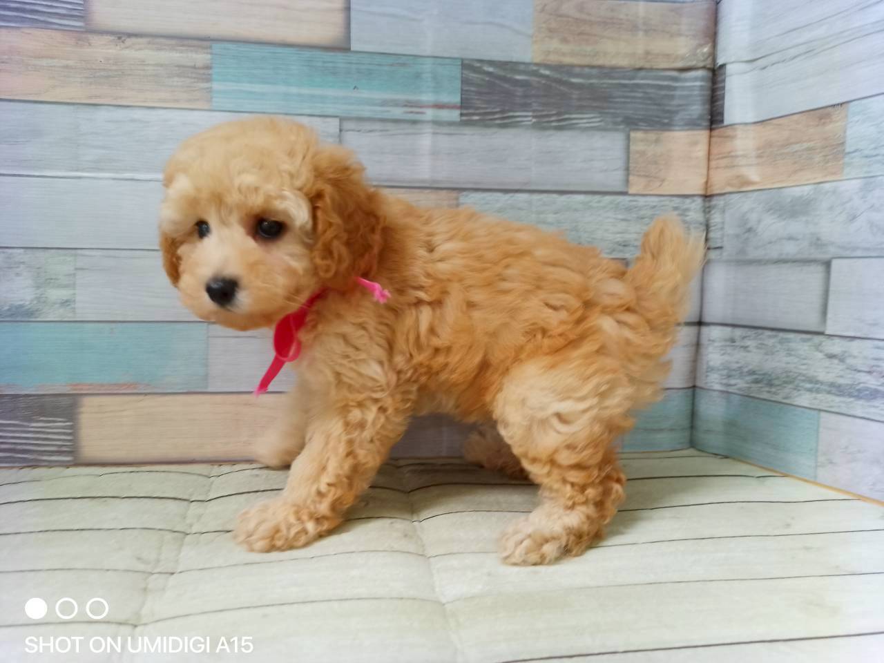 赤ちゃん写真3-2