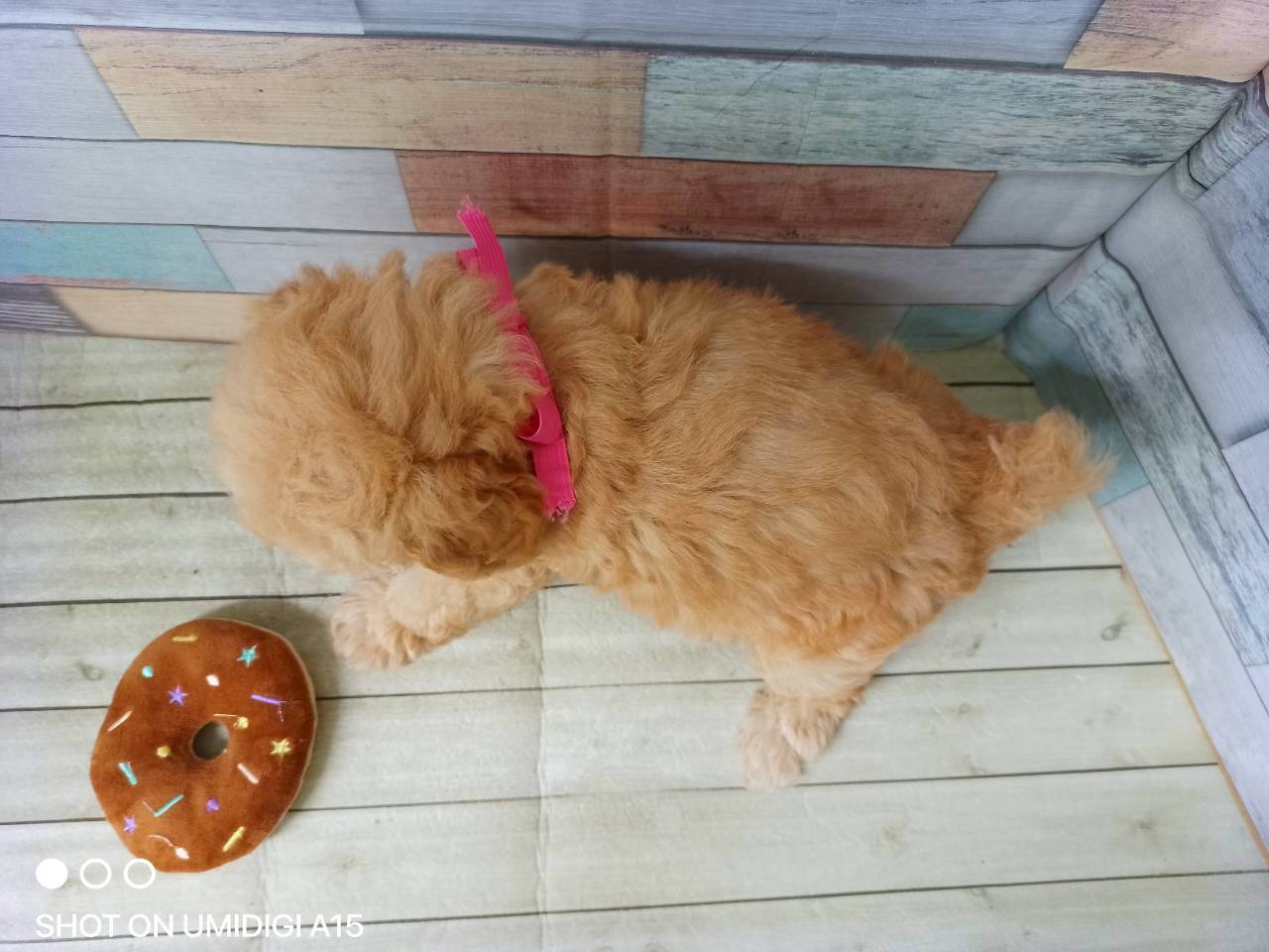 赤ちゃん写真3-3