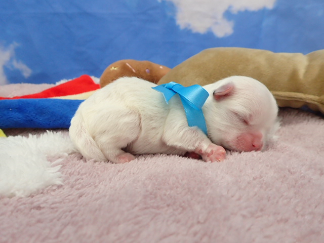 赤ちゃん写真1-2