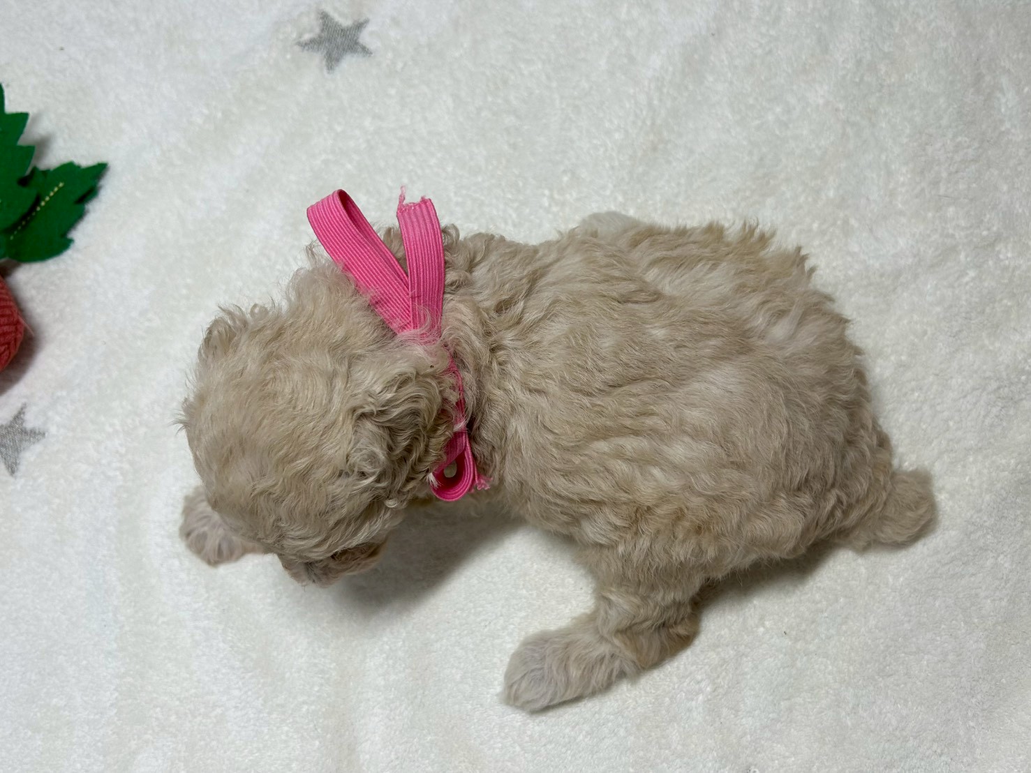 赤ちゃん写真2-3