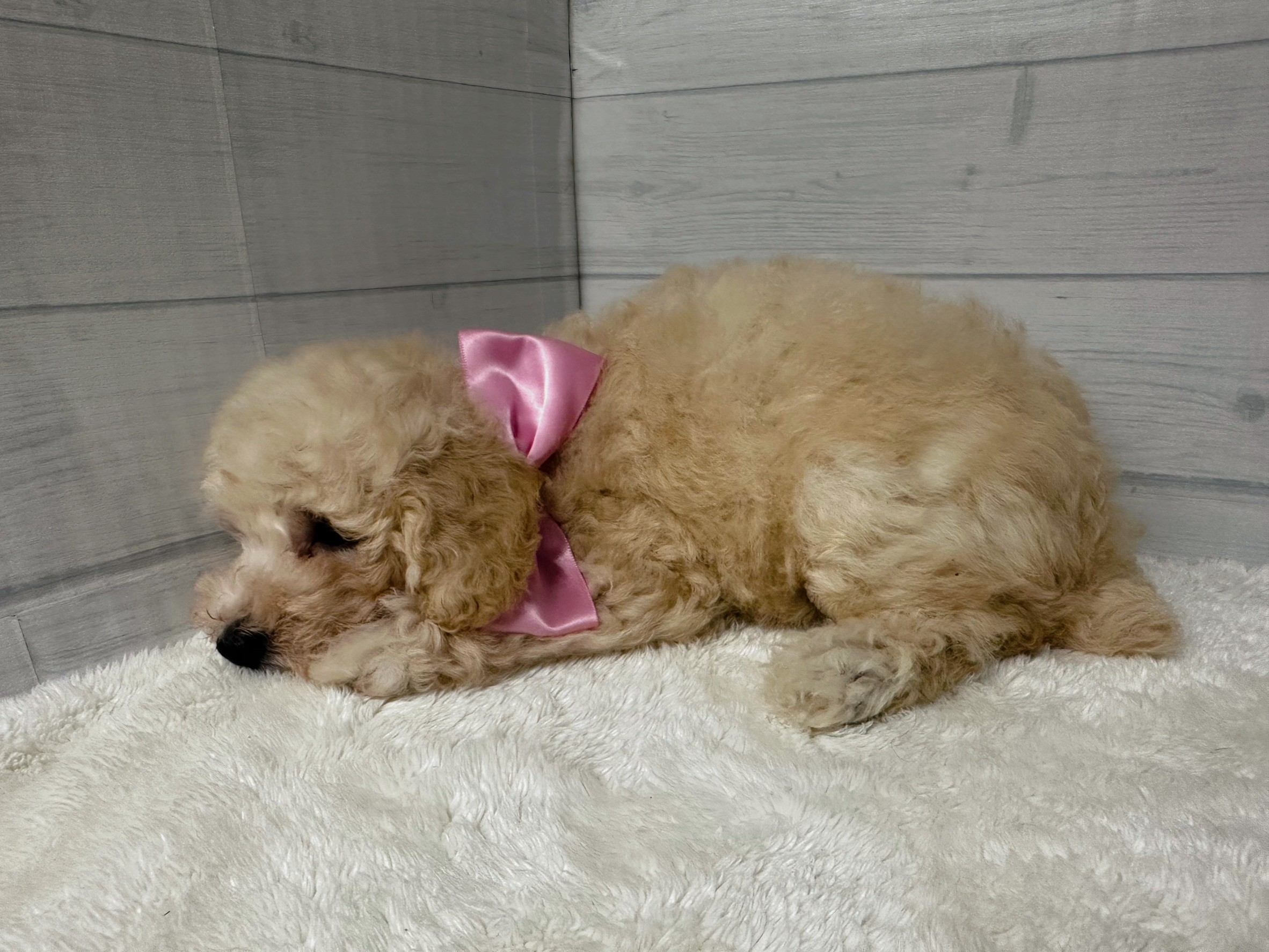 赤ちゃん写真3-2