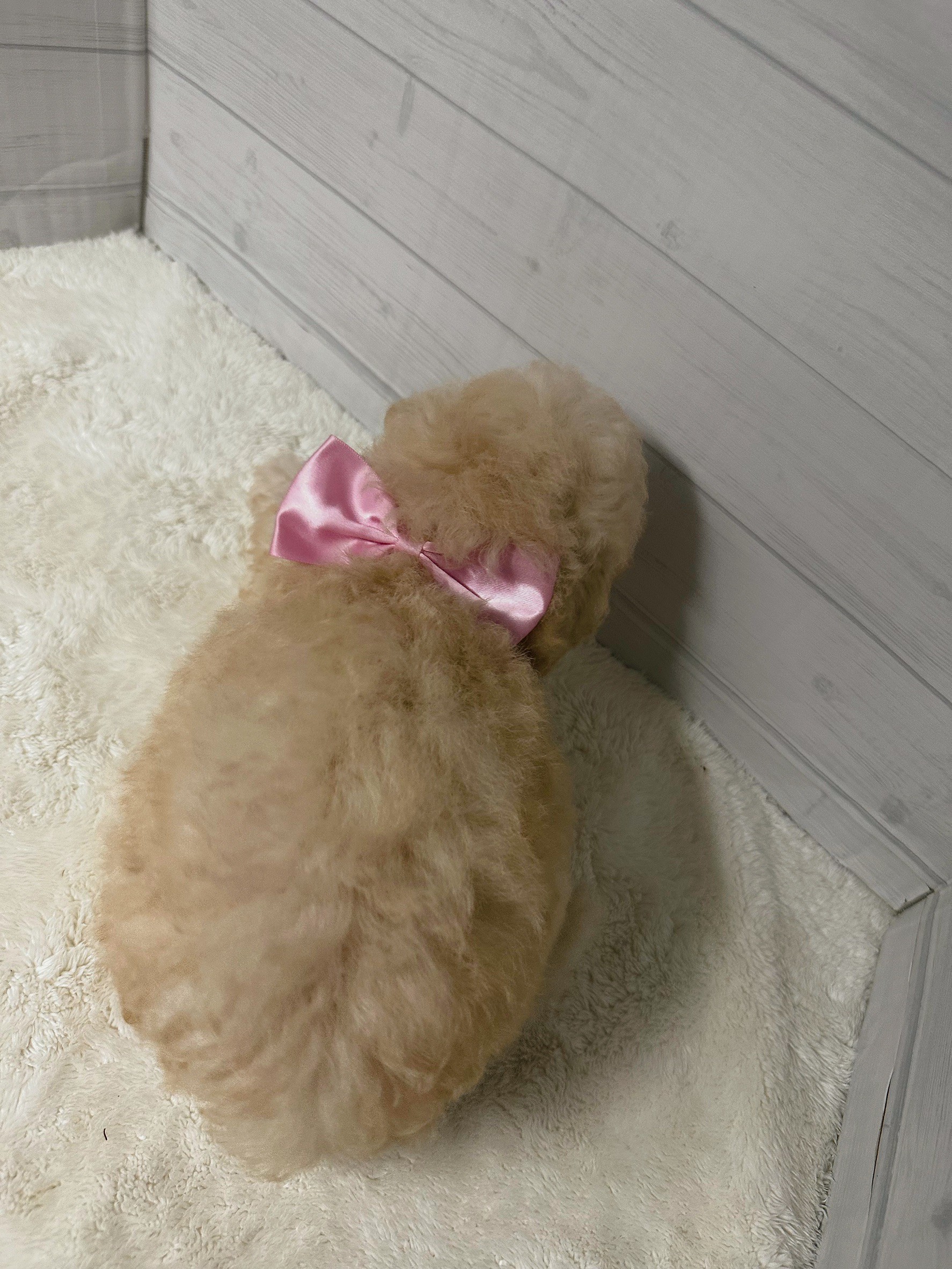 赤ちゃん写真3-3