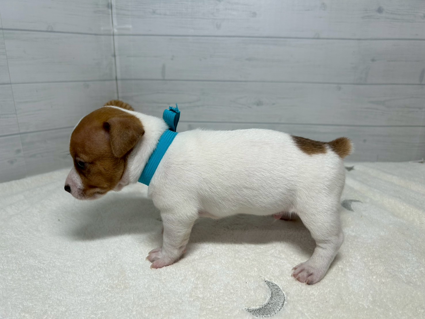 赤ちゃん写真2-2