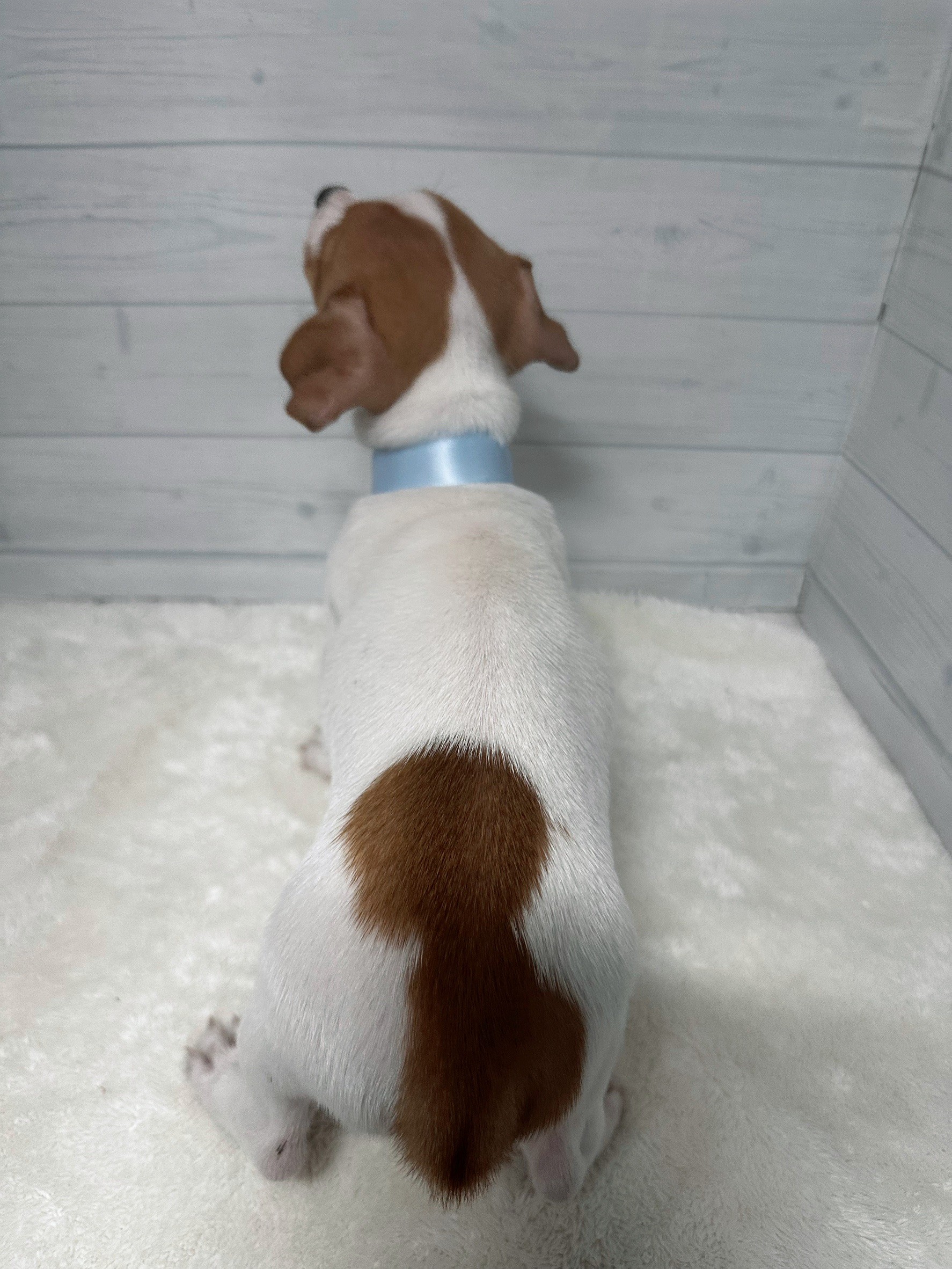 赤ちゃん写真3-3