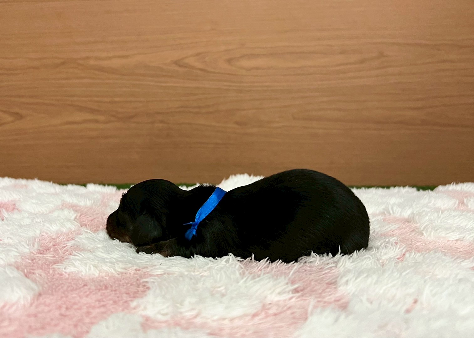 赤ちゃん写真1-2