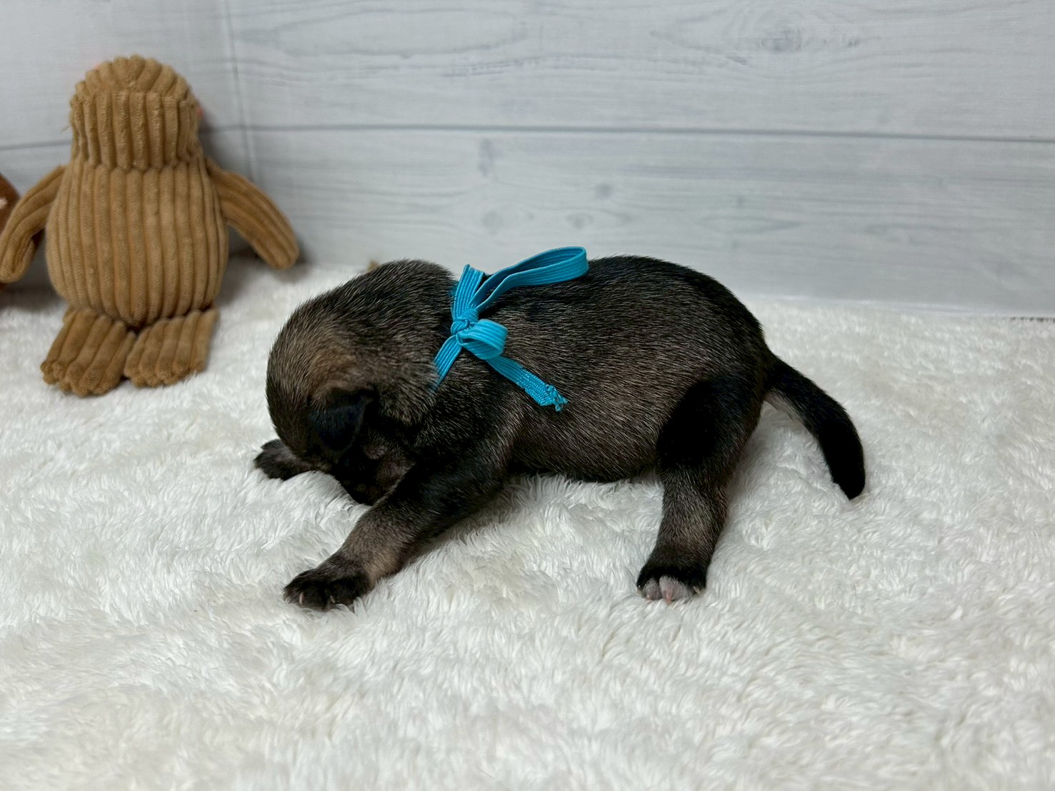赤ちゃん写真1-2