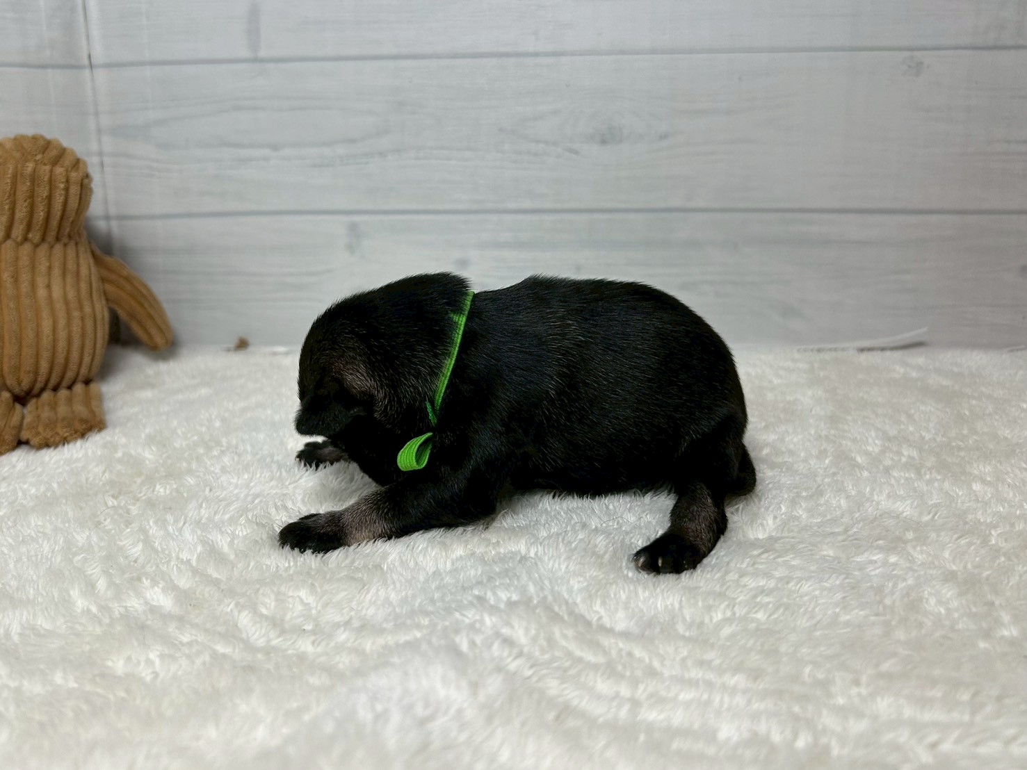 赤ちゃん写真1-2