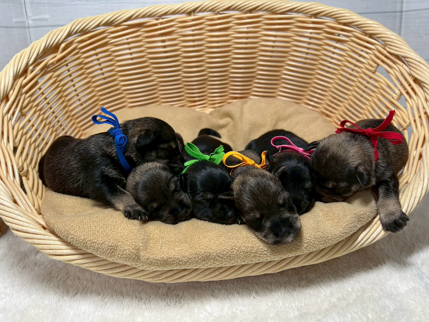 赤ちゃん写真1-3
