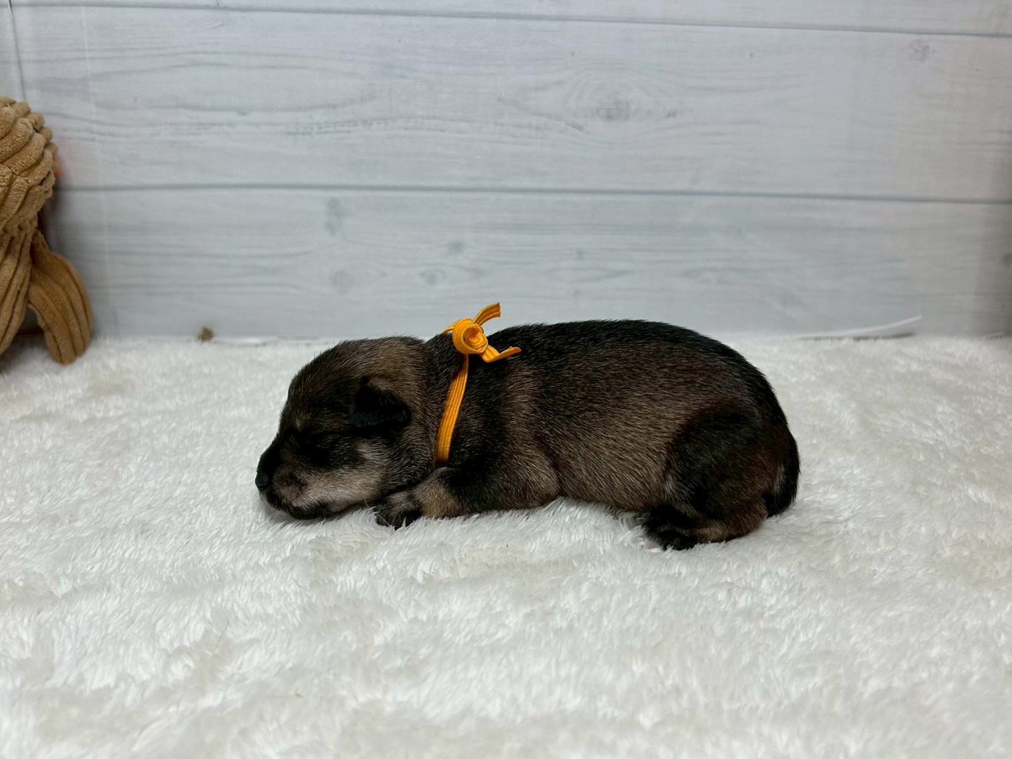 赤ちゃん写真1-2