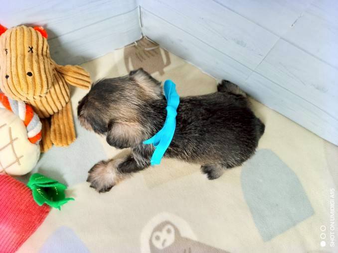 赤ちゃん写真2-3