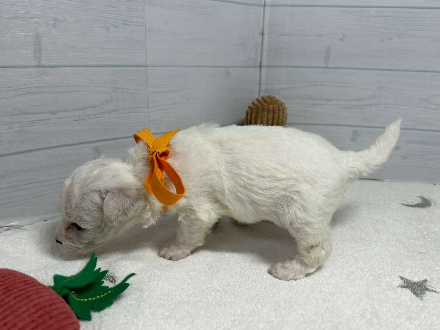 赤ちゃん写真2-2