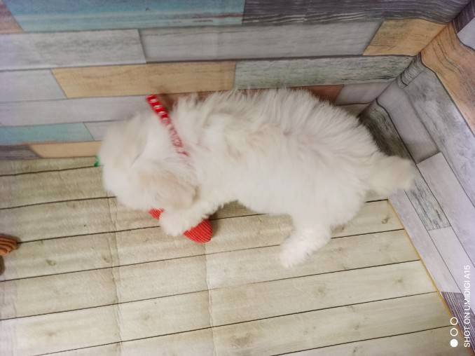 赤ちゃん写真3-3