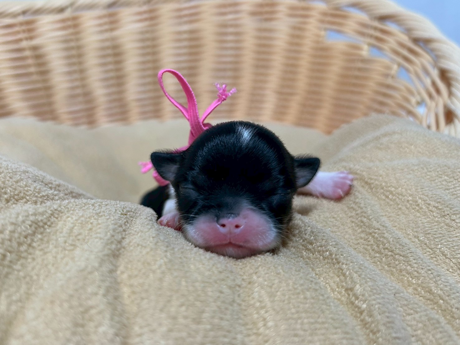 赤ちゃん写真1-1
