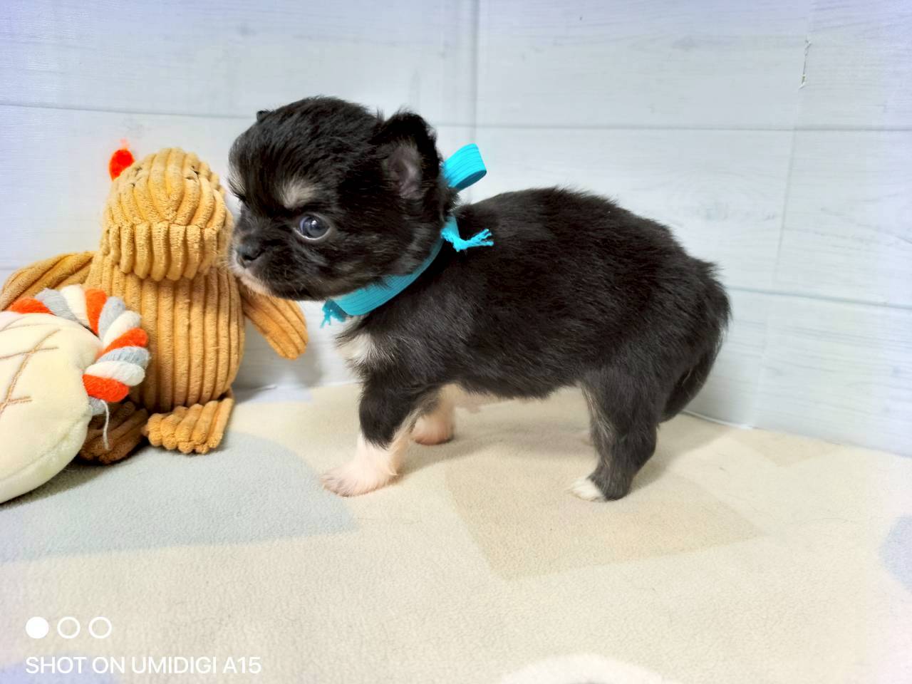 赤ちゃん写真2-2