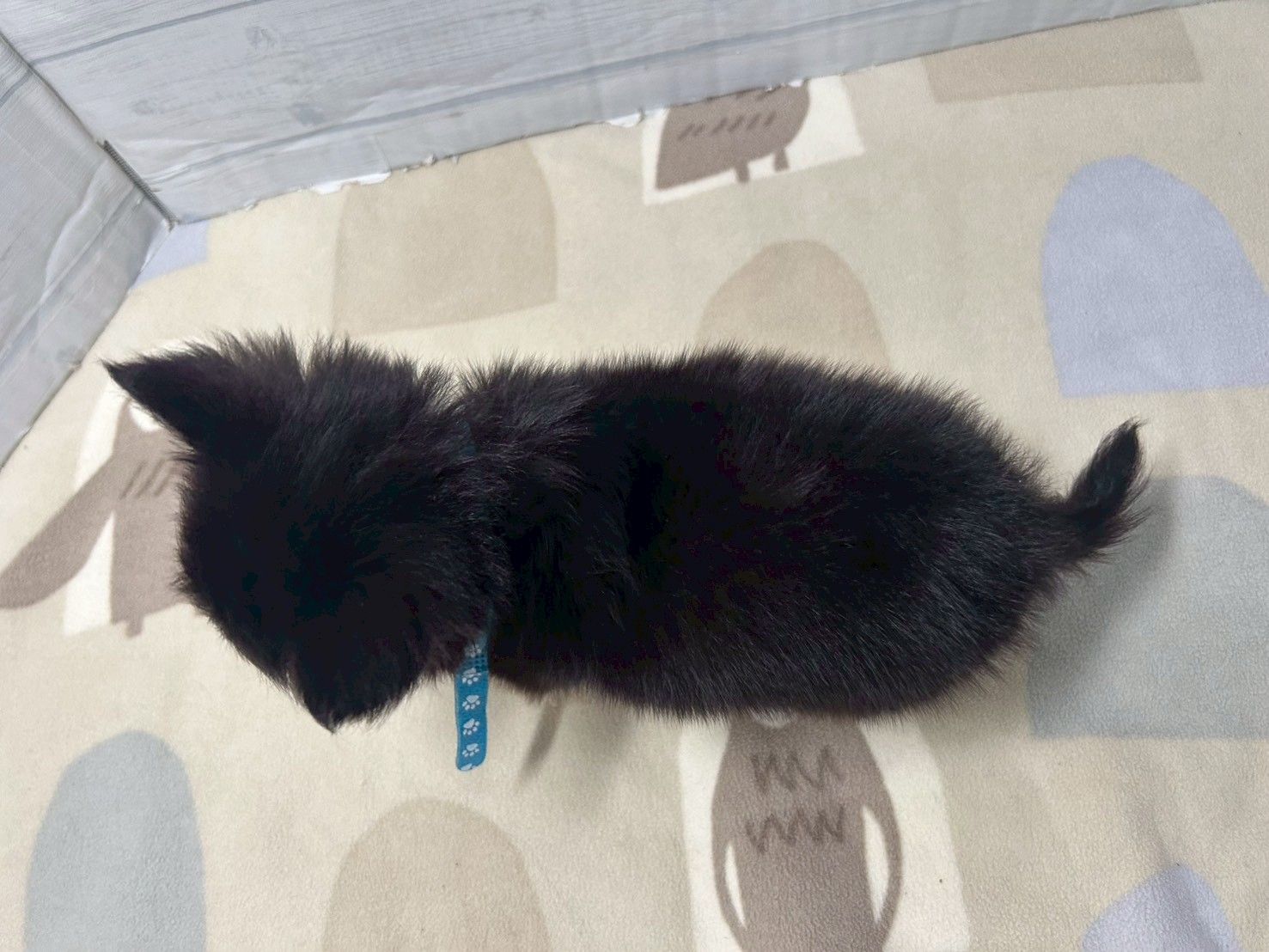 赤ちゃん写真3-3