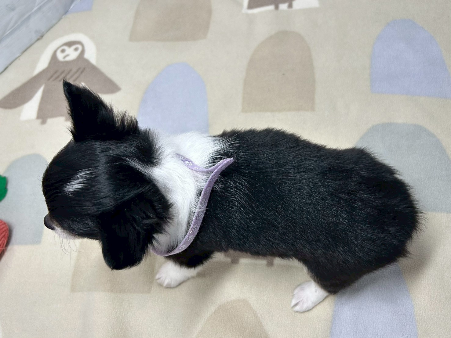 赤ちゃん写真3-3