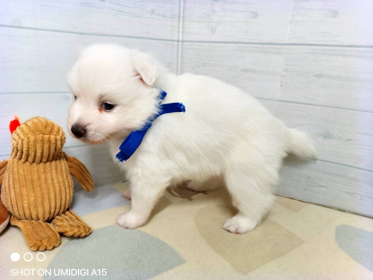 赤ちゃん写真2-2