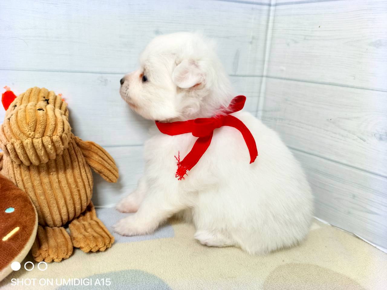 赤ちゃん写真2-2