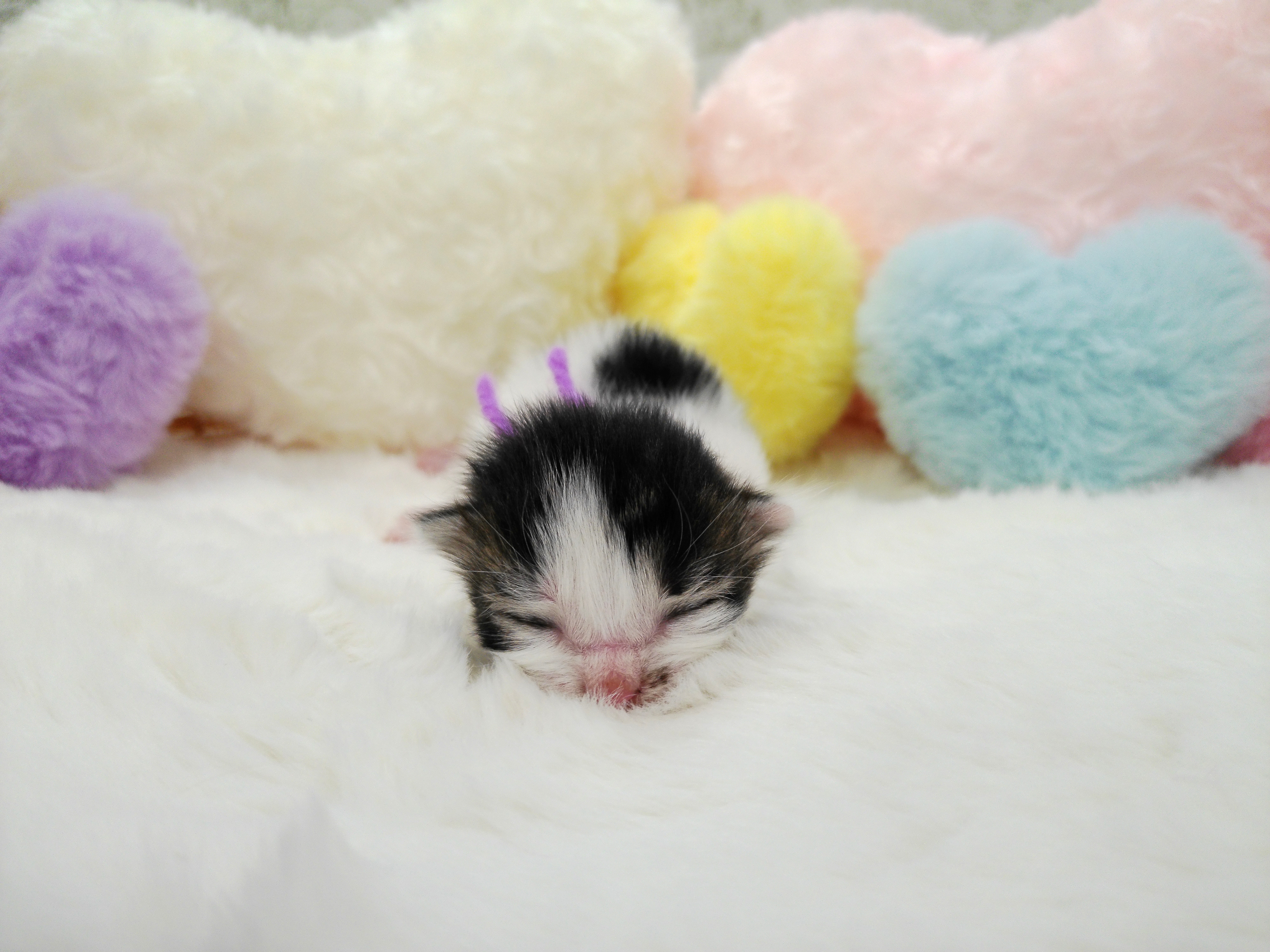 赤ちゃん写真1-1