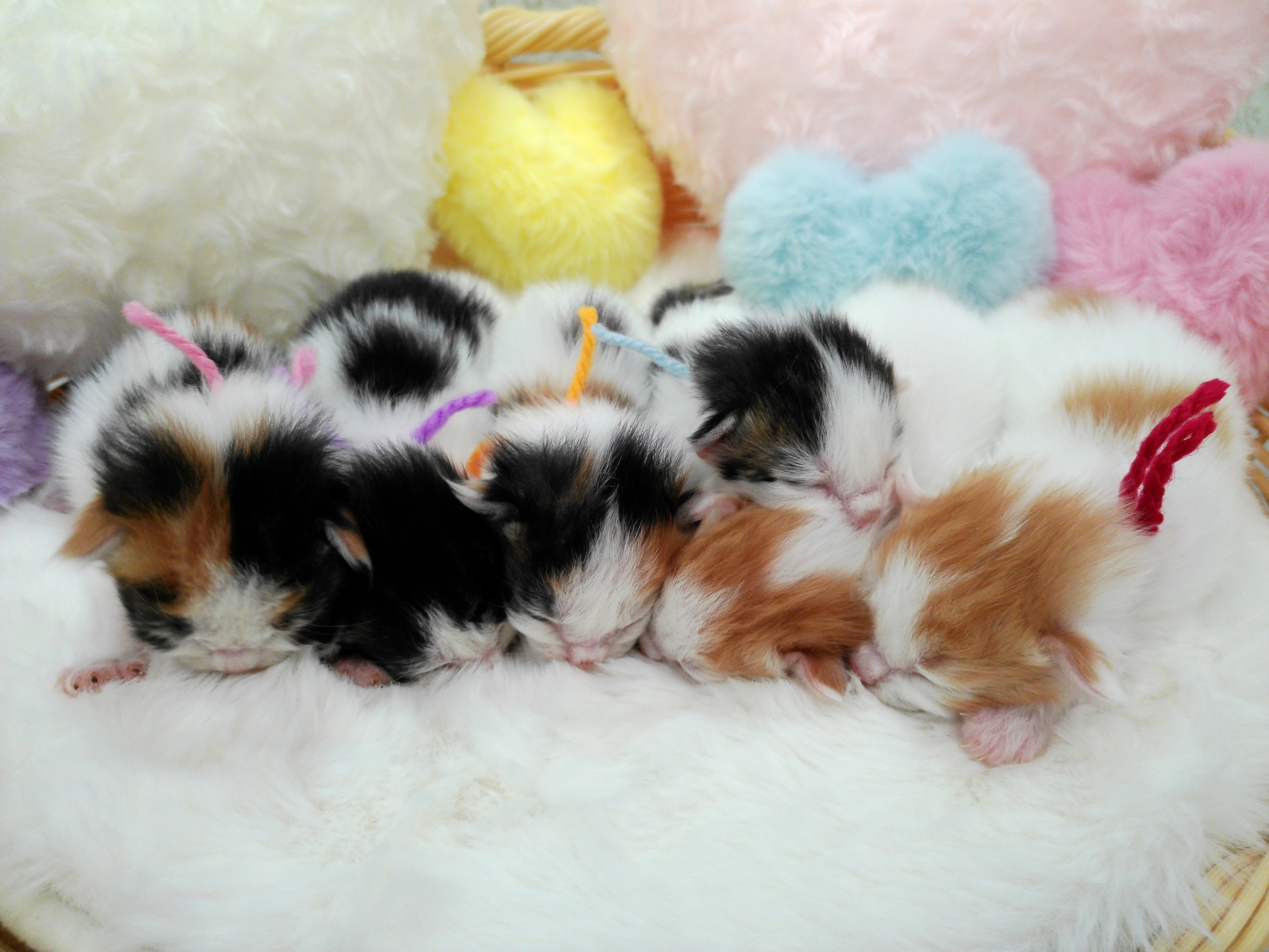 赤ちゃん写真1-3