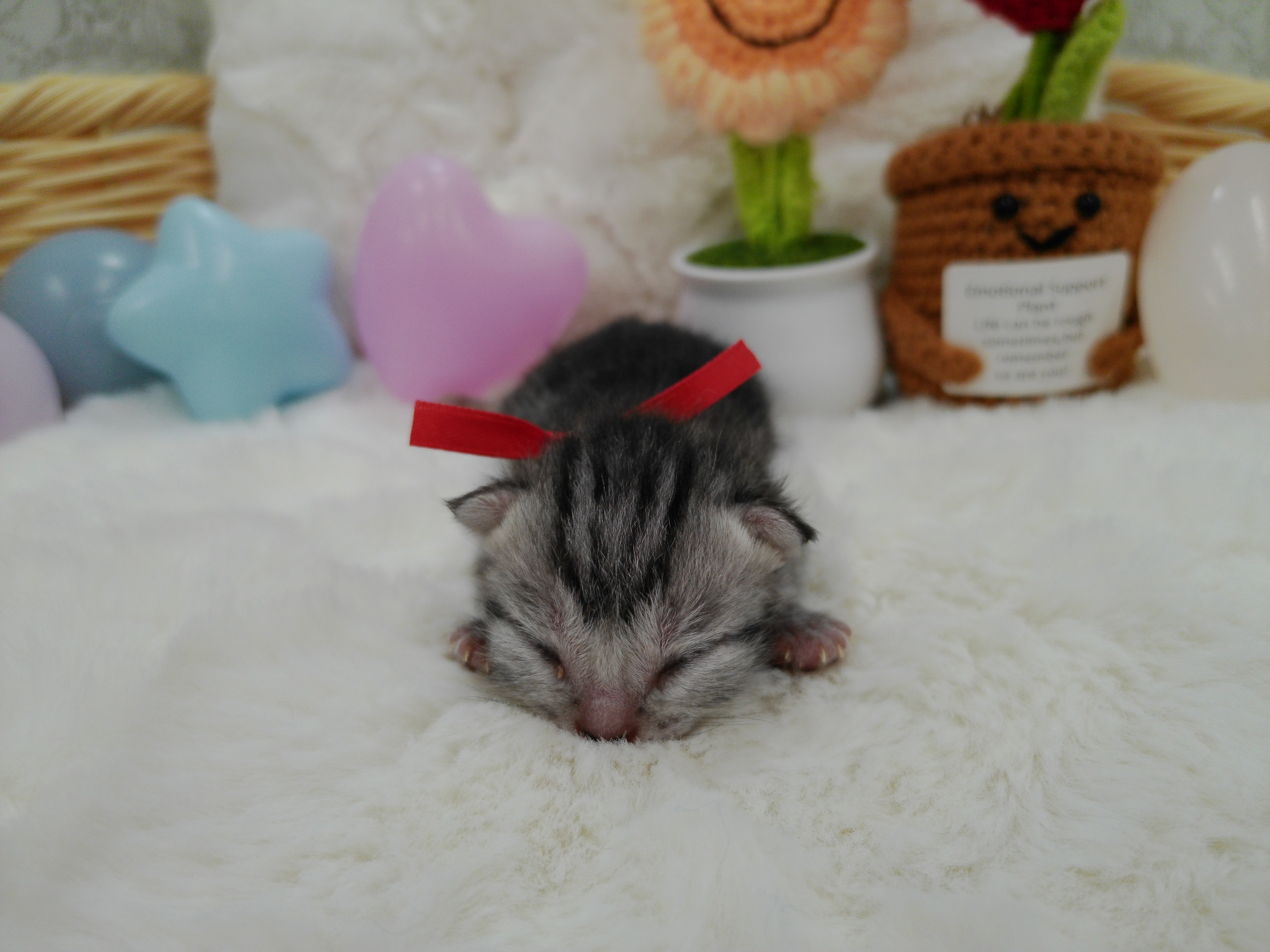 赤ちゃん写真1-1