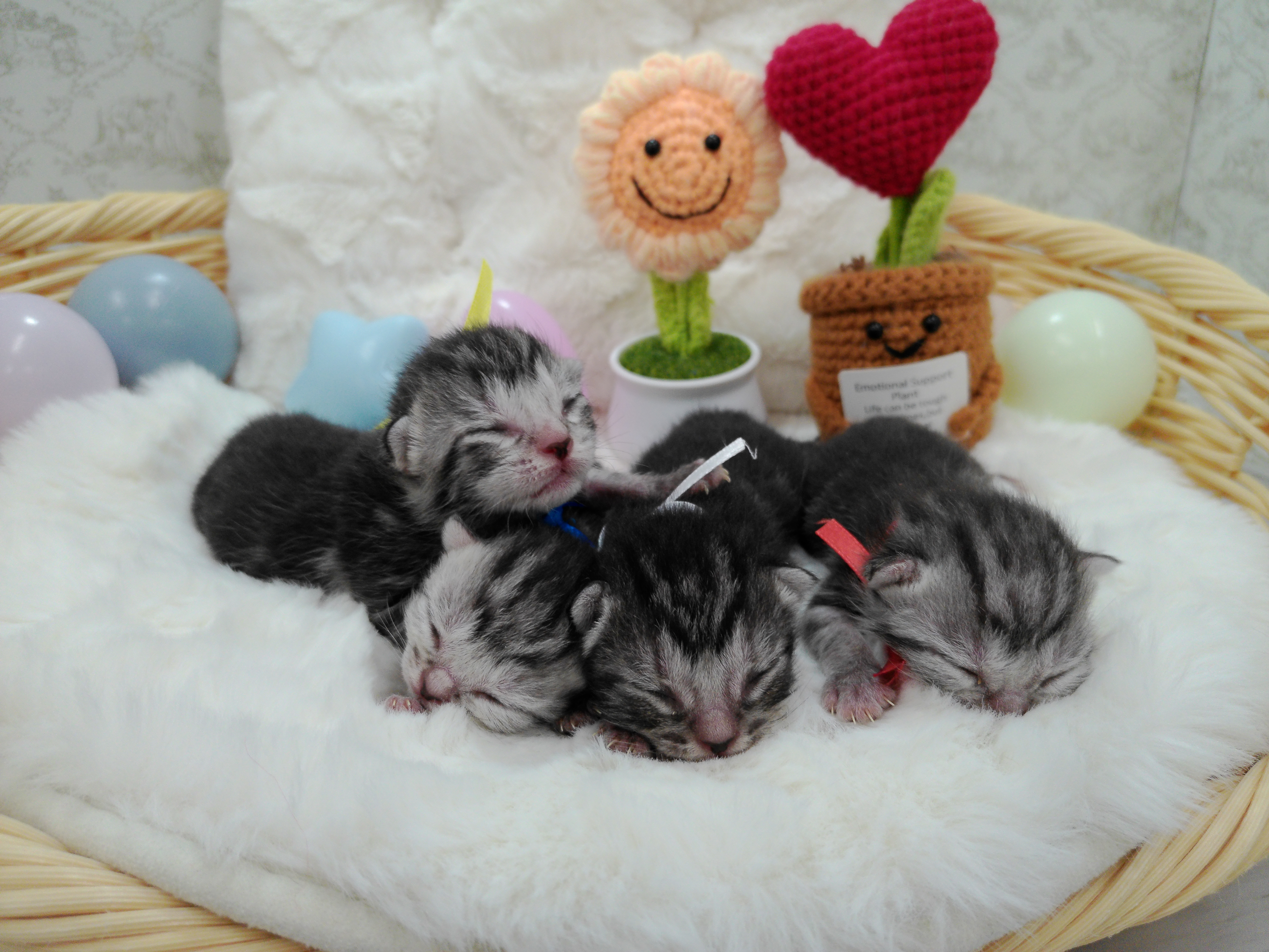 赤ちゃん写真1-3